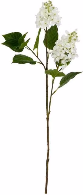 Lemon Pavilion Furniture and Decor White and Green Artificial Lilac Flower, 1 Stem, W/D/H: 30 x 30 x 75 cm