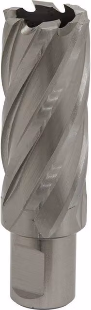 Loops M2 Steel Annular Metal Core Drill Rotabor Cutter, Silver, W: 25 mm, D: 50 mm