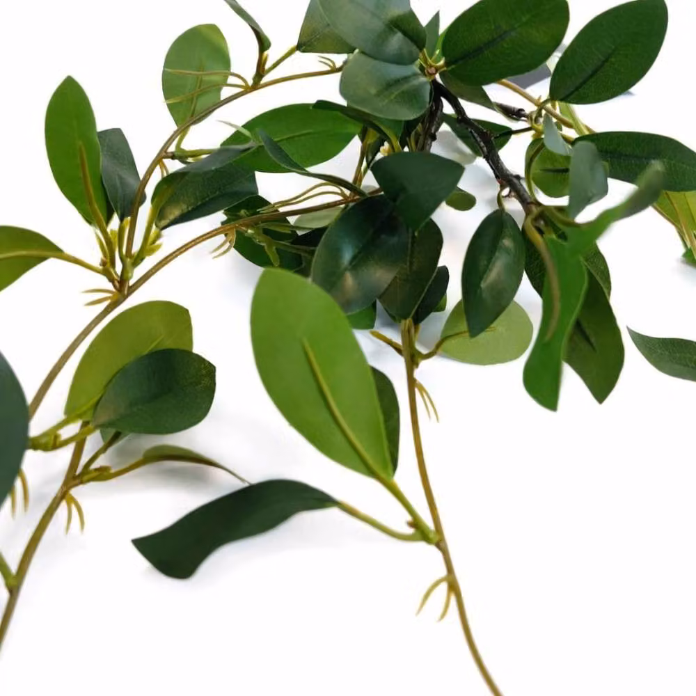 Leaf Premium Green Artificial Trailing Ficus Vine Stem, Height: 55 cm – 3