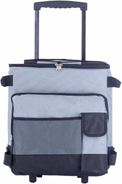 FLAVORA 43L Leakproof Portable Travel Cool Bag in Grey