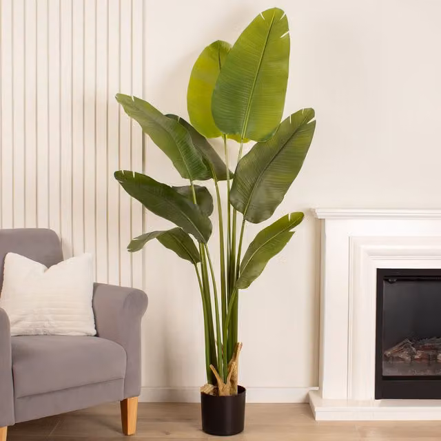Scottish Everlastings Ltd 180cm Real Touch Banana Tree in Green