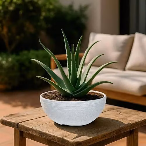 Simpa Grooved Speckle Bowl Plastic Planters, Set of 2, White, H 13 cm x Dia 35 cm – 3