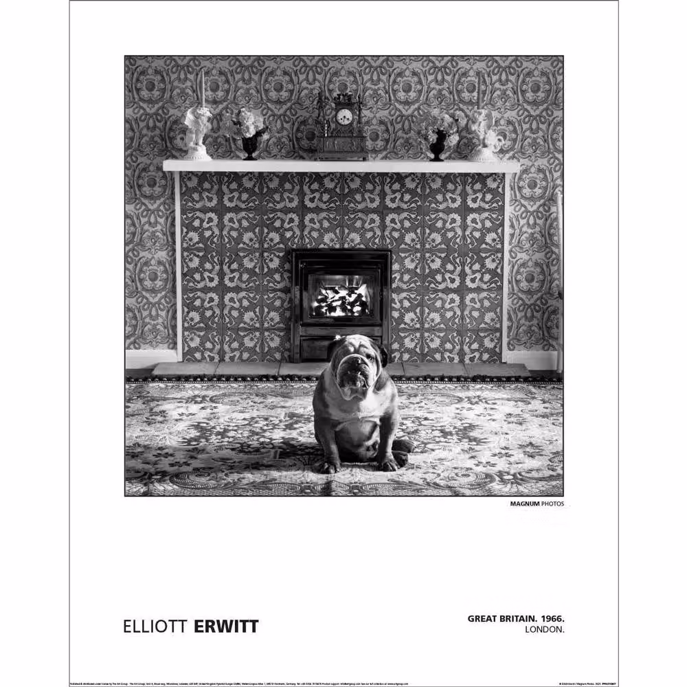 Magnum Elliot Erwitt Great Britain London 1966 Paper Poster in Grey – 2