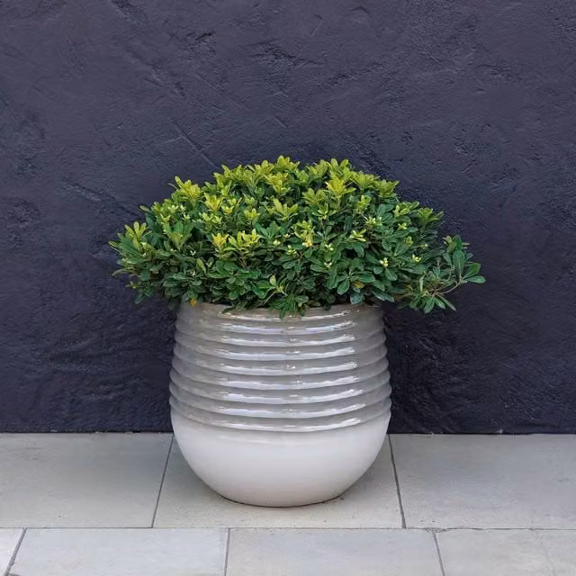 Primrose Grey Ombre Ribbed Round Outdoor Flower Pot and Garden Planter
