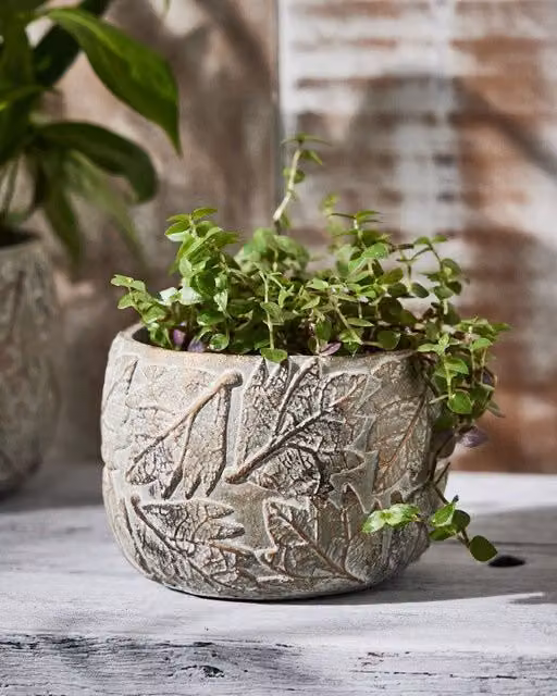 Dibor Grey Leaf Embossed Small Flower Planter, Round Ceramic and Concrete Indoor Outdoor Plant Pot, H 11 cm, Dia 16 cm