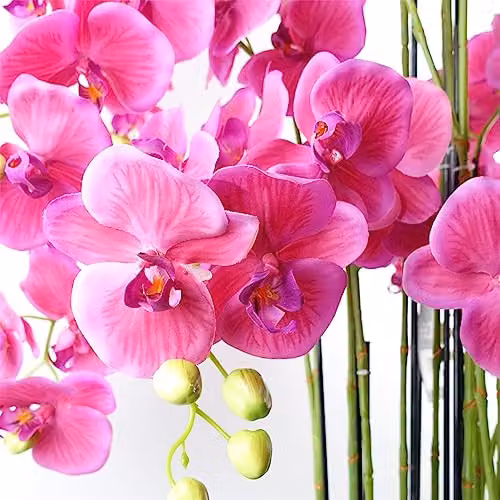 Leaf Design UK Pink Realistic Artificial Orchid Flower Display in Pot, Height: 150 cm – 2