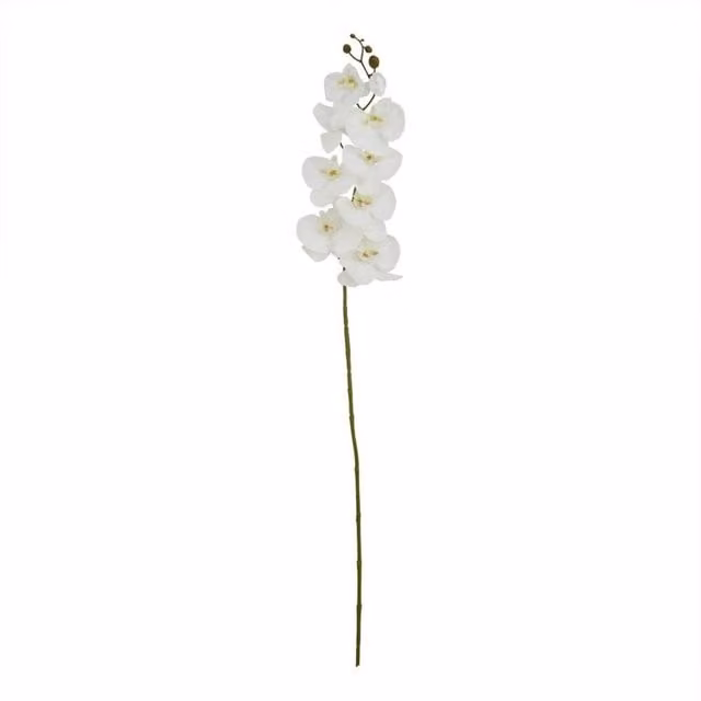 Lemon Pavilion White Artificial Butterfly Orchid Single Stem, W11 x D11 x H103 cm