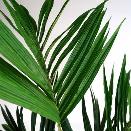 Botanik Green Artificial Palm Tree – 4