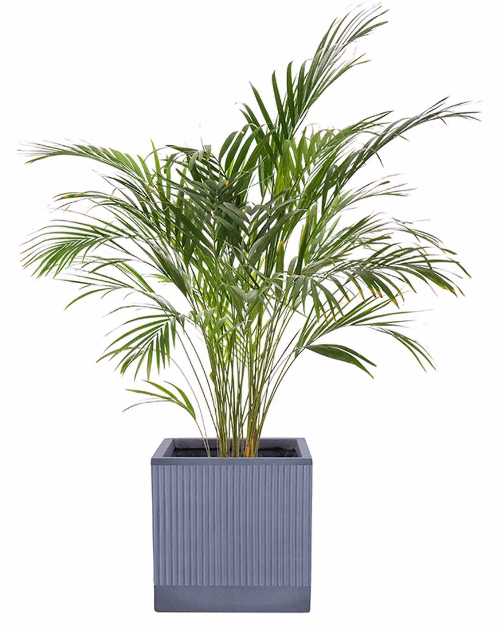Dibor Large Ribbed Fibre Clay Planter, Slate Grey, H 37 cm x W 37 cm – 2