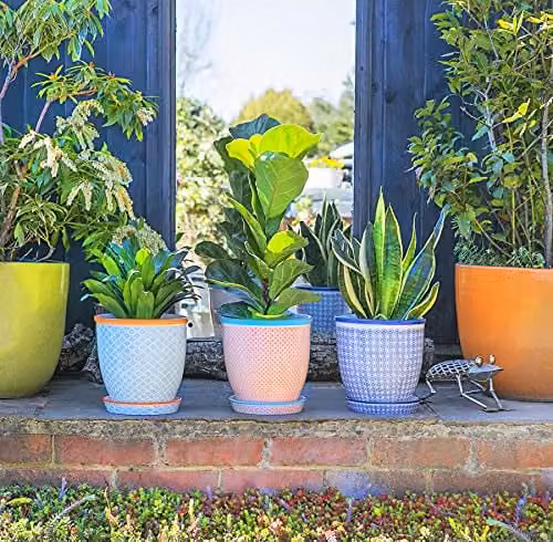 Nicola Spring Pack of 3 Floral Patterned Ceramic Plant Pots with Saucers in Blue and Orange, Diameter: 20.5 cm – 2