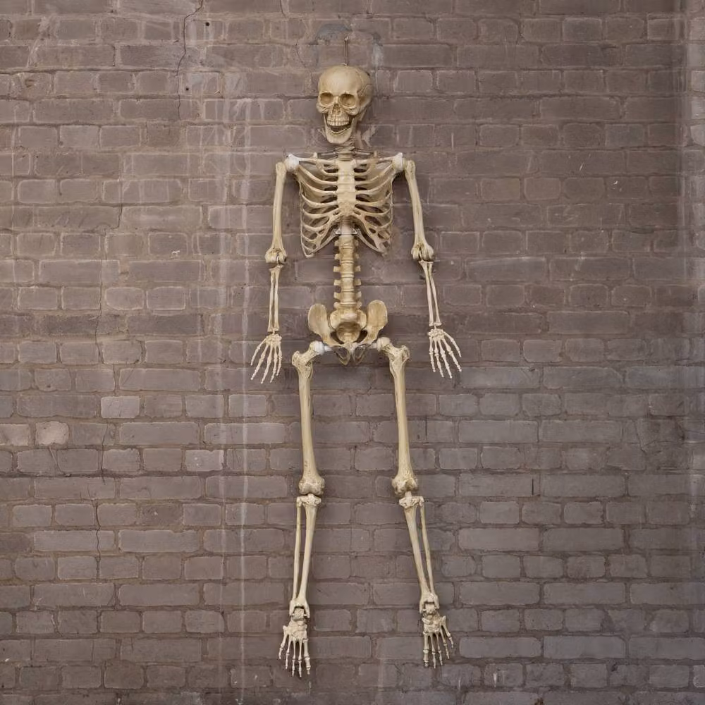 Samuel Alexander White Posable Full Body Halloween Skeleton Decoration with Movable Joints, Height: 152 cm – 3