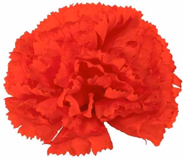 KDMD Essential Red Carnation Pick Box of 144 – 1