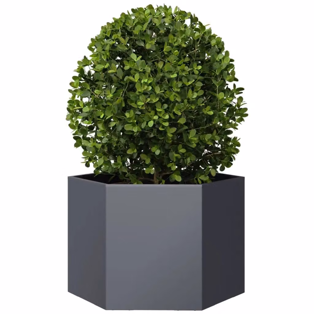 Berkfield Home Anthracite Hexagon Steel Garden Planter in Black, W: 69 cm, D: 60 cm, H: 45 cm – 3