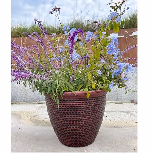 Gr8 Garden Cromarty Round Plastic Plant Pot Planter, Red, Pack of 2, Diameter: 36 cm – 2