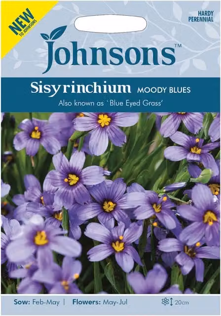 Mr Fothergill’s Seeds Sisyrinchium Moody Blues Blue Flower Seeds – 1