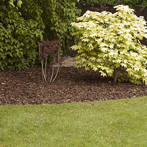 YouGarden Ornamental Spruce Bark Mulch, 70 l – 6