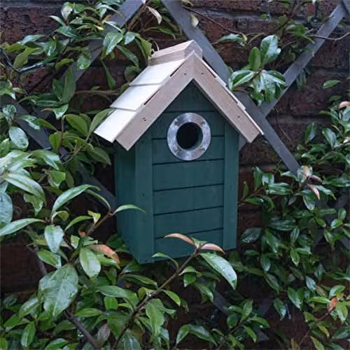 St Helens Home & Garden Wood Bird House Nesting Box, Green, W/D/H: 25.0 x 18.0 x 17.5 cm