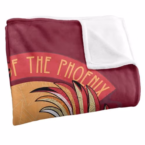Warner Bros. Harry Potter Mosaic Order of the Phoenix Super Soft Fleece Throw Blanket, Multicolour – 2