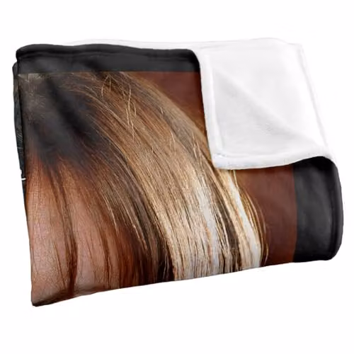 Warner Bros. Gilmore Girls Rory Portrait Super Soft Fleece Throw Blanket, Multicolour, W: 152 cm, D: 127 cm – 2