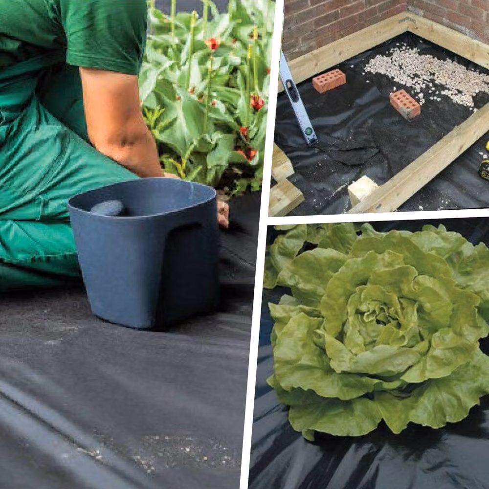 Pegdev Black Polythene Plastic Sheeting 4m Wide, 45 x 4m, 500g – 3