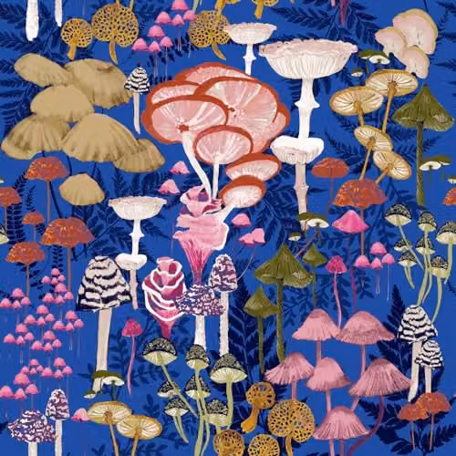 Riva Home Amanita Reversible Mushroom Print Duvet Cover and Pillowcase Set, Blue, W: 90 cm, L: 200 cm – 3