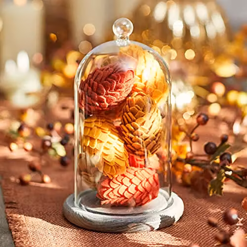 Lights4fun Glass Cloche Dome with Grey Wood Base, Diameter: 20.5 cm – 3
