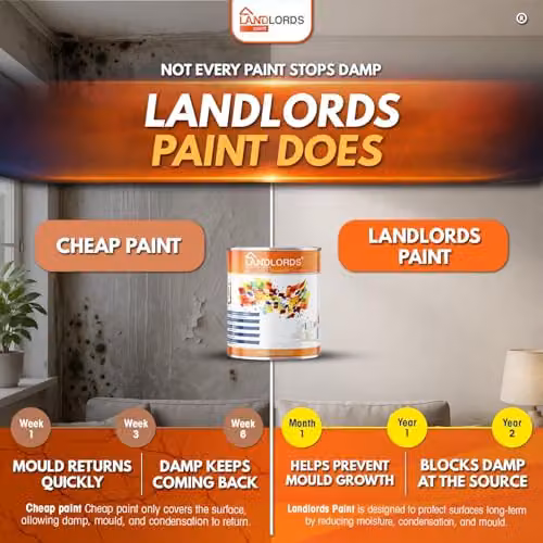Landlords Paint Anti-Mould and Anti-Damp Matt Wall and Ceiling Paint, Beige, 1 l – 2