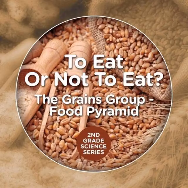 Baby Professor To Eat Or Not To Eat? The Grains Group - Food Pyramid Educational Game for 2nd Grade, Multicolour