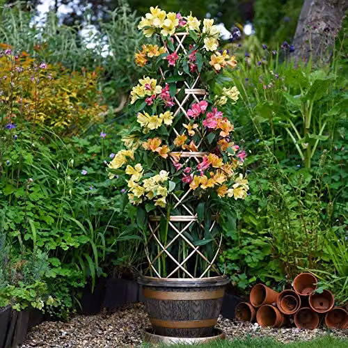 Thompson & Morgan Barrel Effect Flower Tower Planter with Frame and Saucer in Gold and Brown – 5