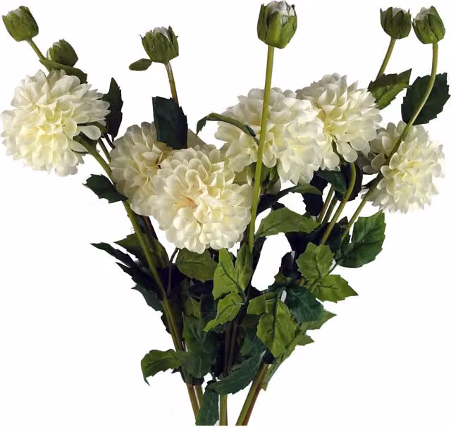 White Artificial Dahlia PomPom Flower Stems with Leaves