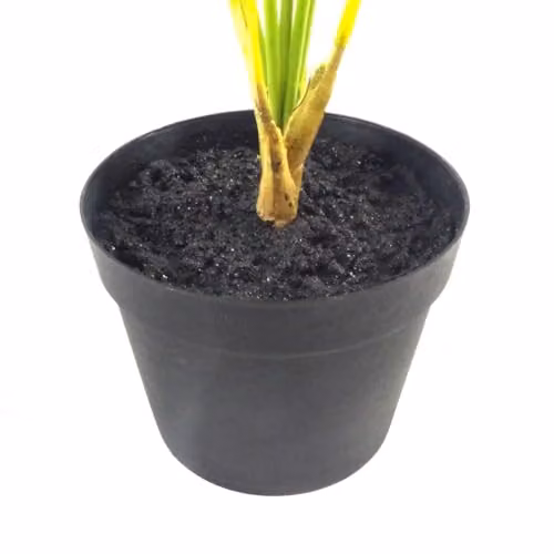 Botanik Realistic Potted Artificial Palm Tropical Tree in Green and Black – 2