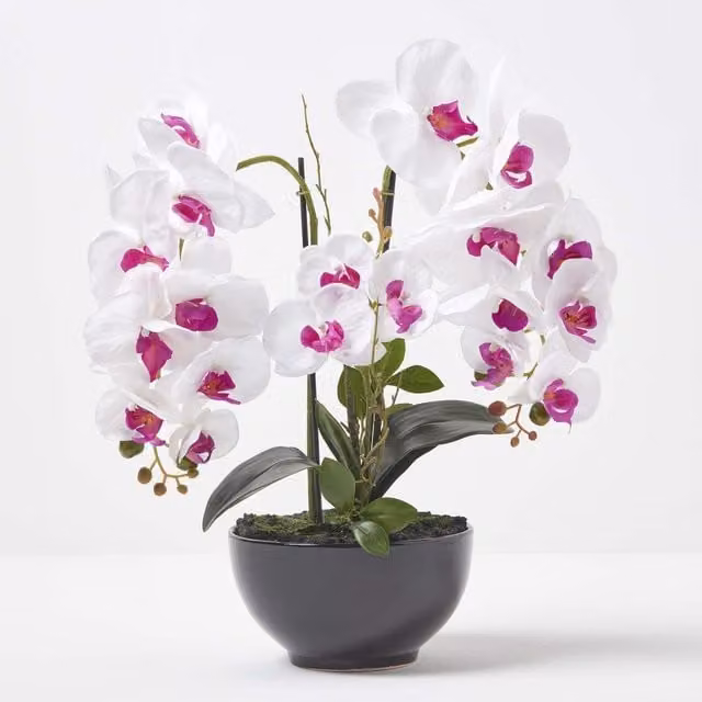 Homescapes Large Lifelike Artificial White Orchid in a Black Concrete Pot, Height: 56 cm