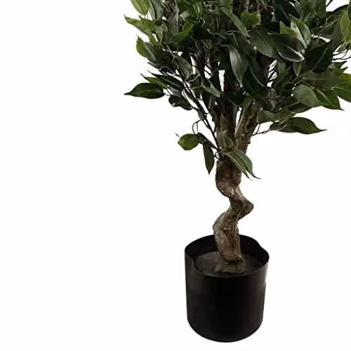 Leaf Artificial Evergreen Ficus Tree in Green and Black, H 110 cm x W 55 cm x D 25 cm – 3