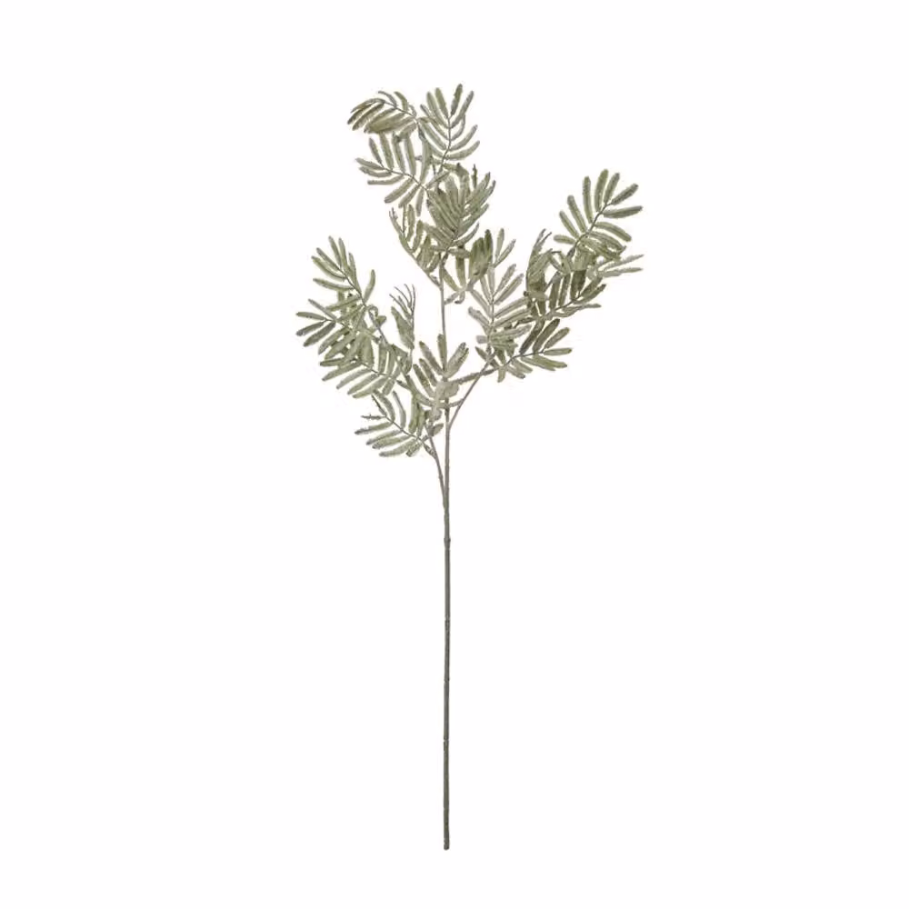 Lemon Pavilion Artificial Silver Wattle Leaf in Green, W22 x D22 x H73 cm – 4