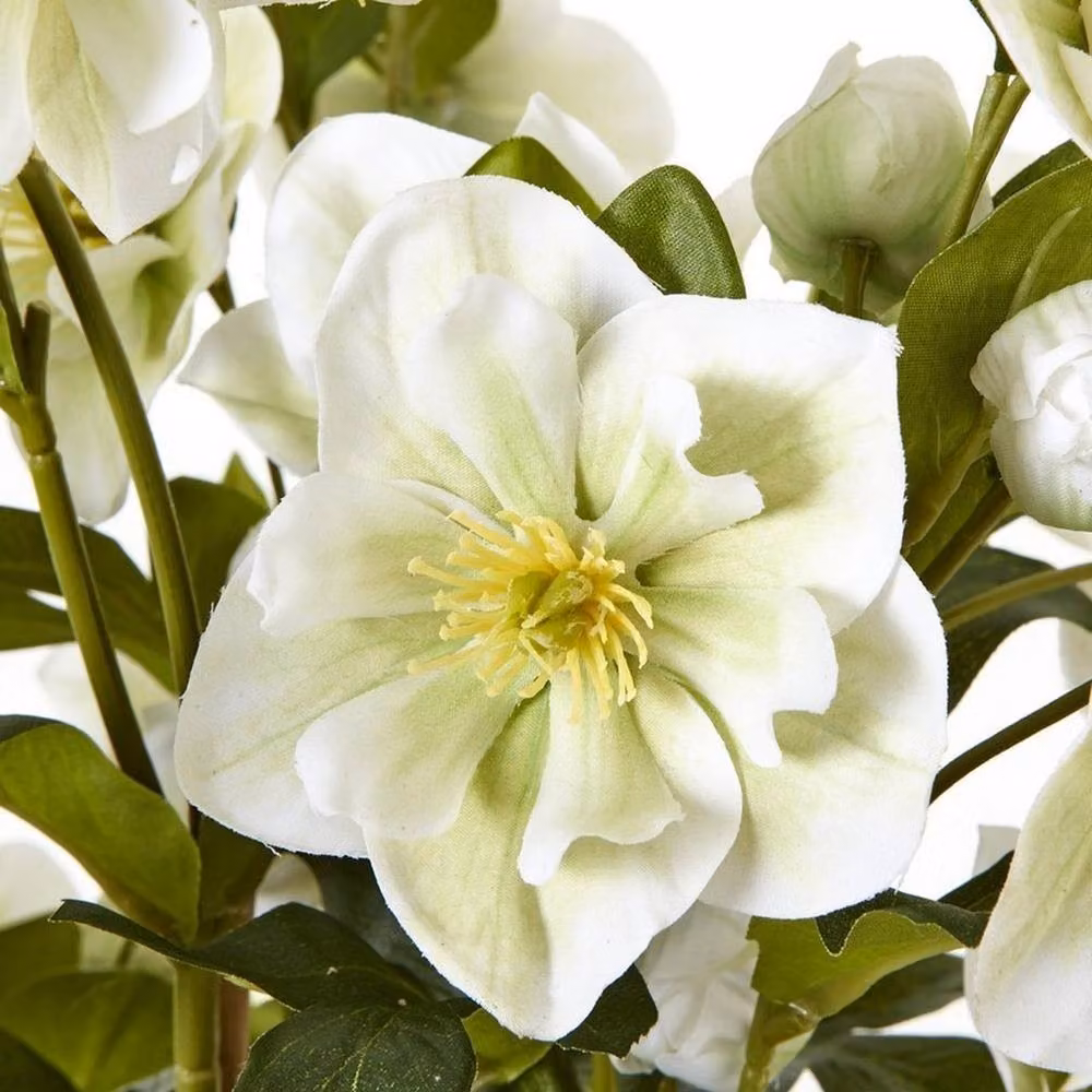 Lemon Pavilion Furniture and Decor Large Hellebore in Pot, Plastic, White/Grey, W: 52 cm, D: 52 cm, H: 85 cm – 5