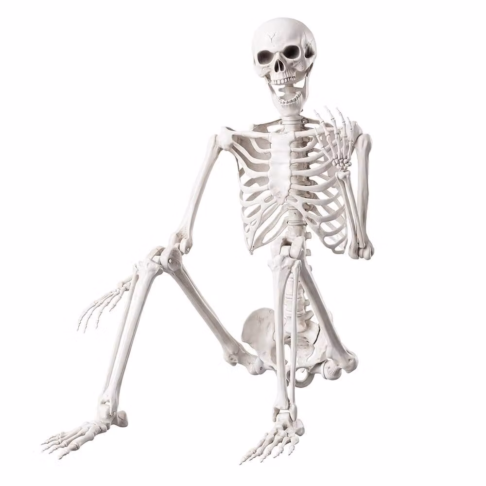 Yezi Life Size Poseable Halloween Skeleton in White, Height: 165 cm – 2