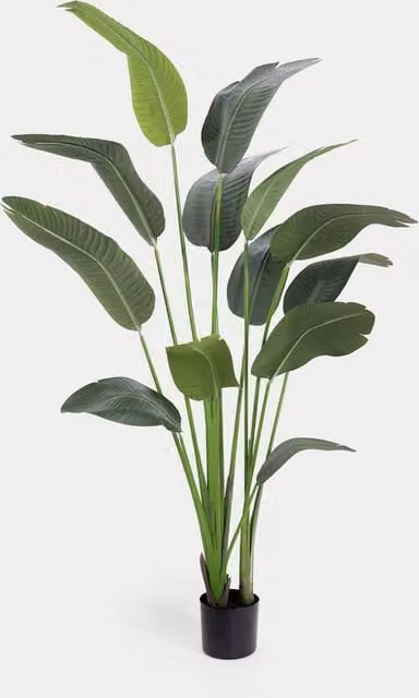 Blooming Artificial 6ft Potted Strelitzia Plant in Green