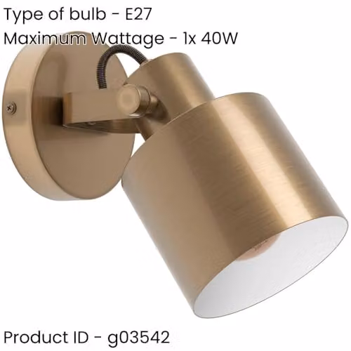 Loops Modern Metal Tabletop Cylinder Lamp in Gold/Brass and White, Width: 11.0 cm