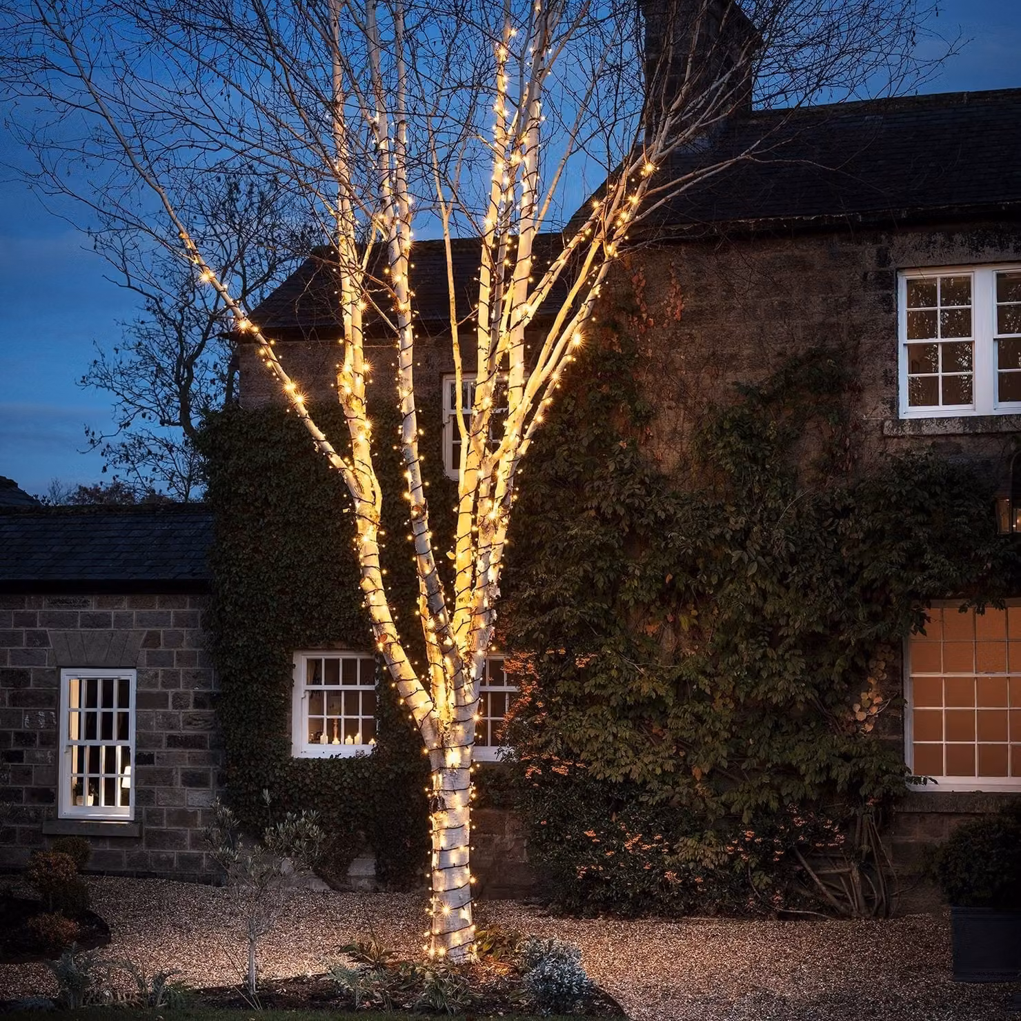 Pro Connect Warm White LED Connectable String Lights with Black Cable