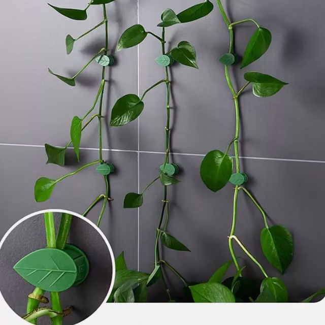 Marco Paul 50pc Plant Support Clips in Green