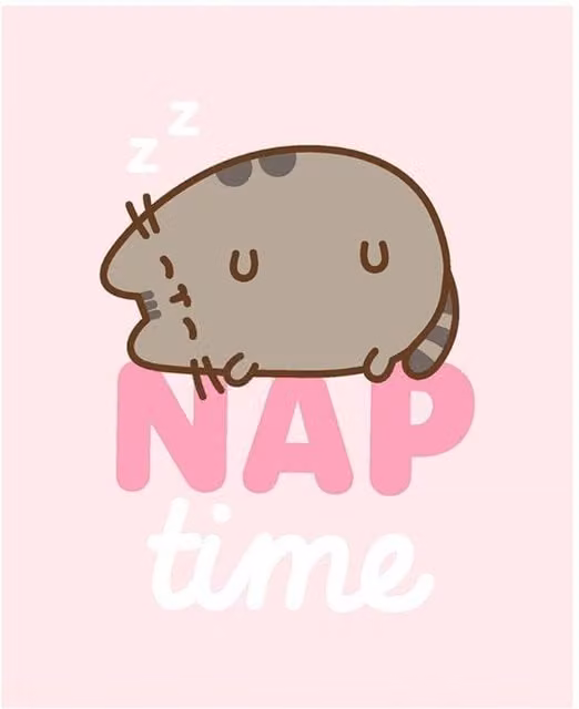 Pusheen Nap Time Pink Fluffy Fleece Blanket, W: 160 cm, D: 130 cm