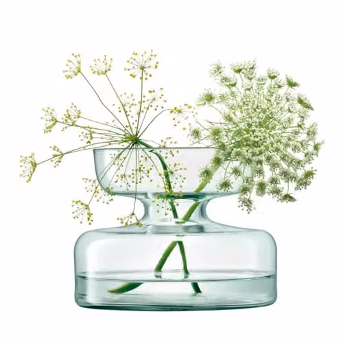 LSA International Canopy Recycled Glass Vase and Bulb Planter, Transparent, Diameter: 10 cm