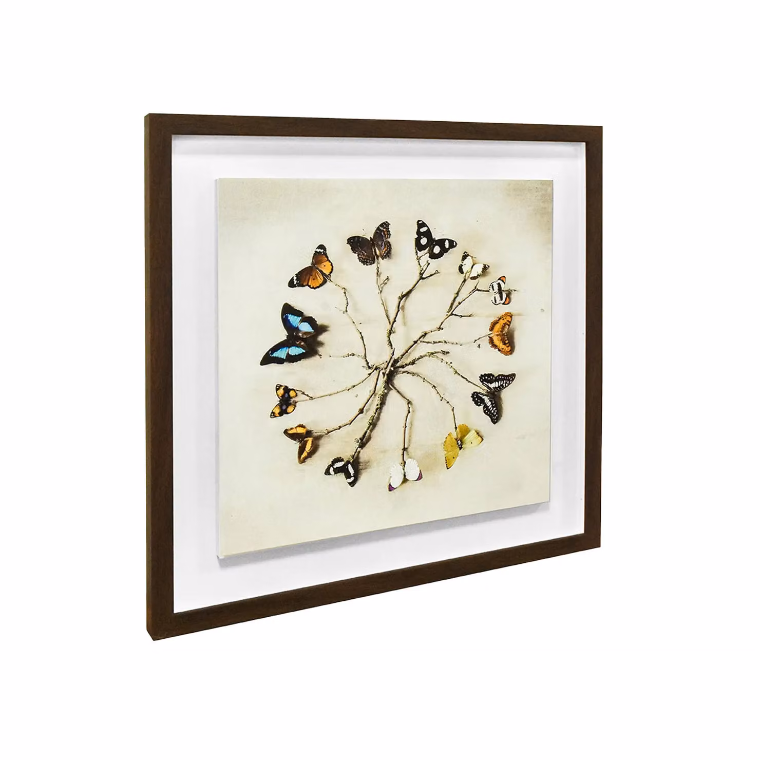 Ian Winstanley Butterfly Harmony Multicolour Wood Framed Floral Plaque, 40 x 40 cm – 2