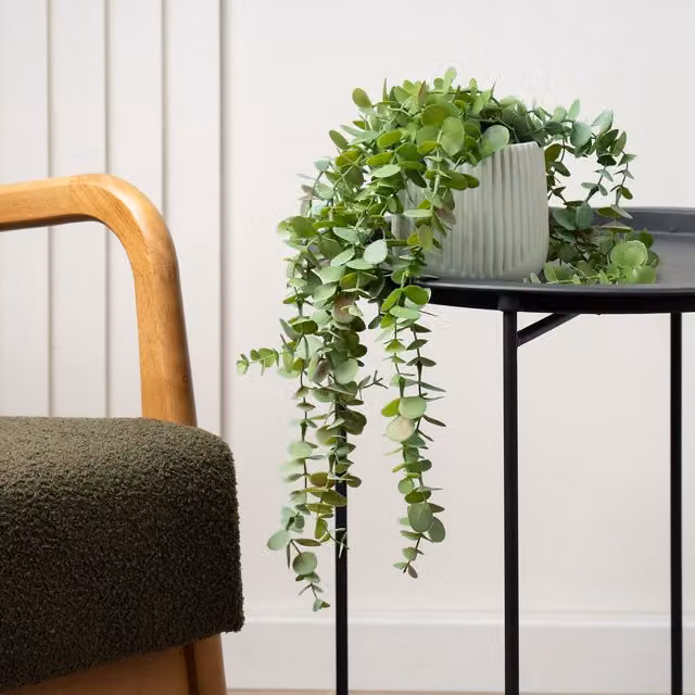 Scottish Everlastings Ltd Artificial Trailing Green Eucalyptus