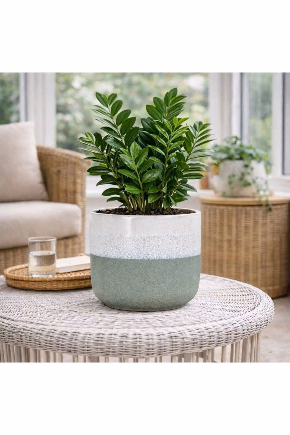 KDMD Hortus Bordeaux Stoneware Pot in Green and White, H 22.5 cm x Dia 24.5 cm – 2