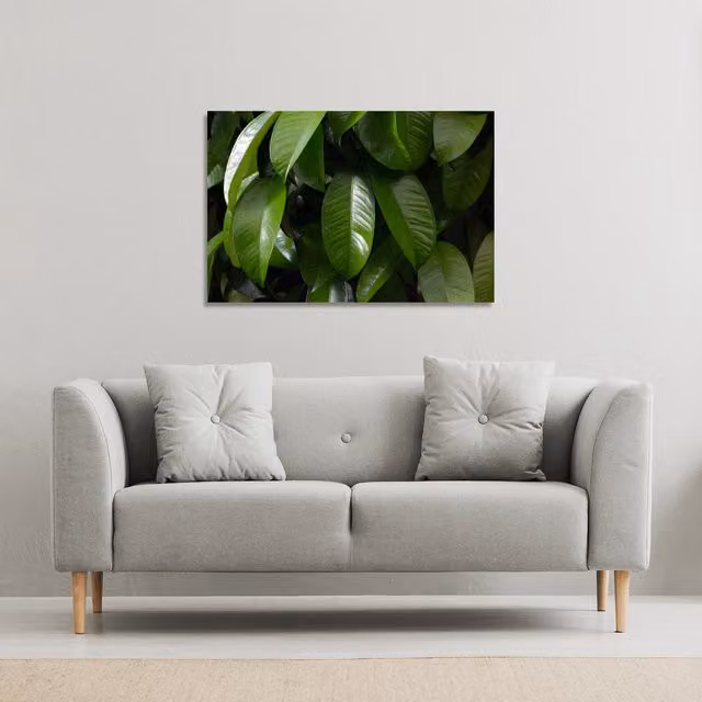 Benjamin Tate Design LTD Botanical Green Leaves Canvas Print, W: 127 cm, H: 101 cm