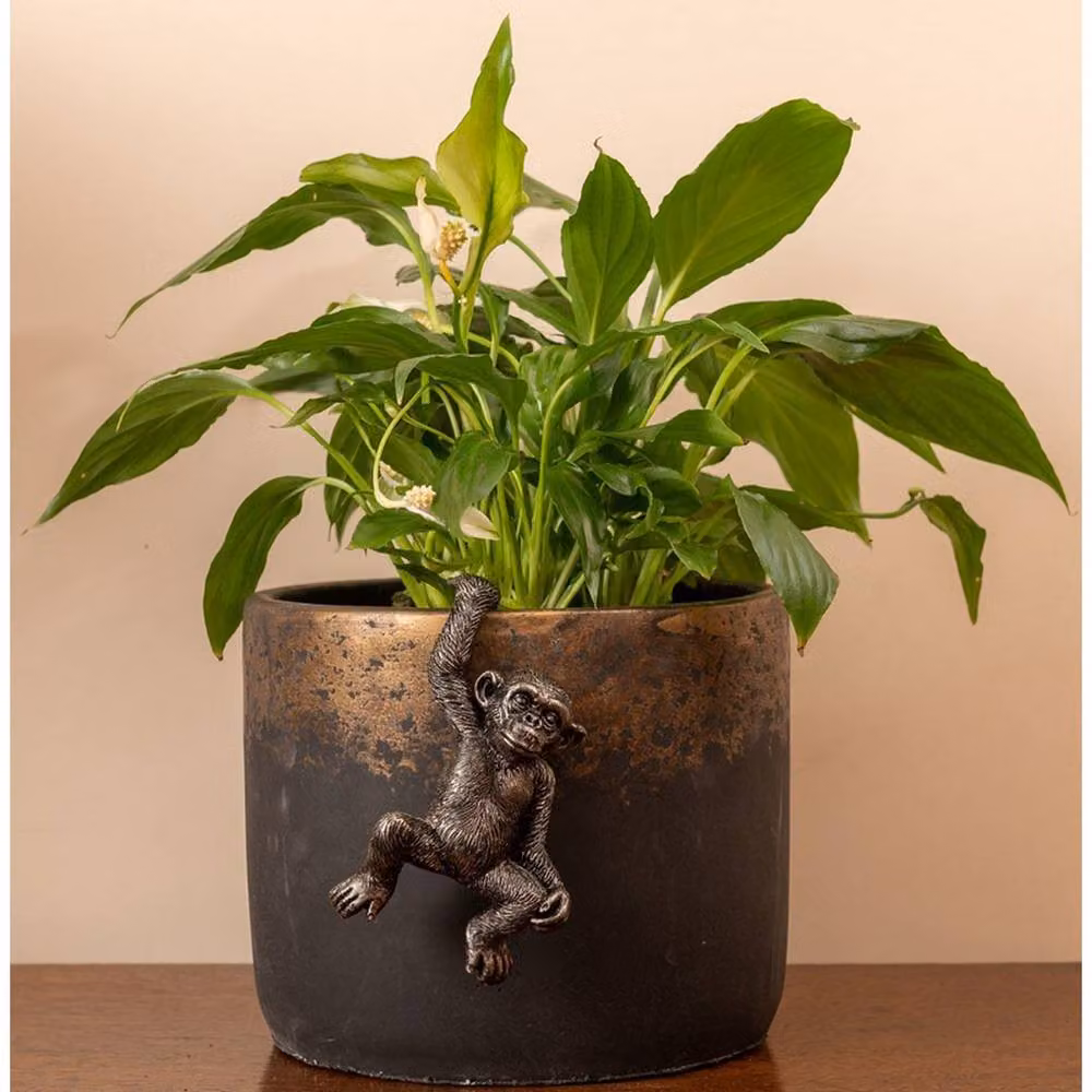 Jardinopia Chimpanzee Hanging Plant Pot Hanger, Bronze, W7 x D11 x H4.5 cm – 5