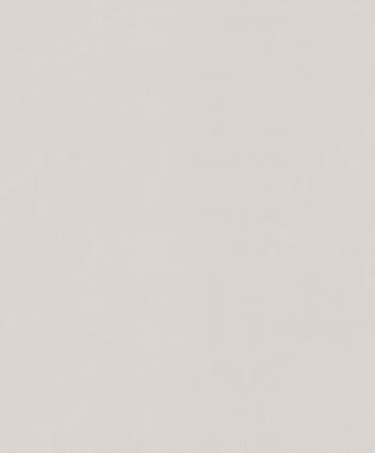 Erismann Spotlight 2 Textured Plain Natural Beige Wallpaper