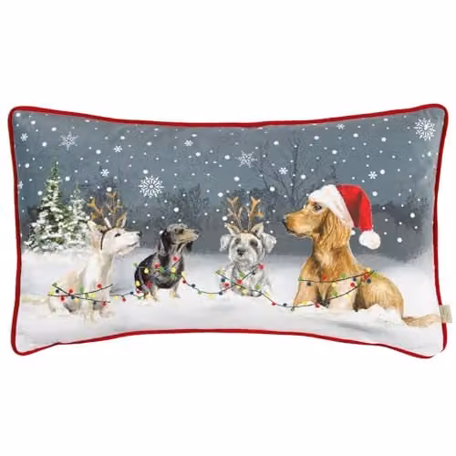 Evans Lichfield Christmas Dog Velvet Piped Rectangular Cushion, Multicolour, W: 50 cm, H: 30 cm – 1