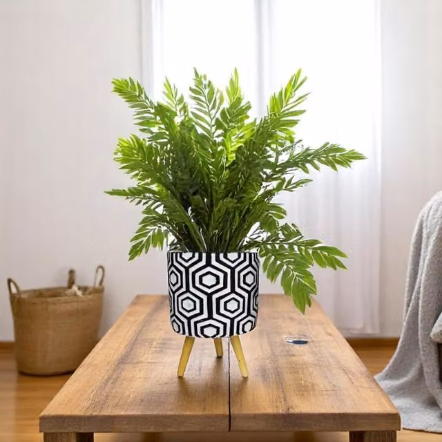 Kingsbury Gifts Black and White Geometric Concrete Indoor Plant Pot with Legs, Diameter: 17 cm